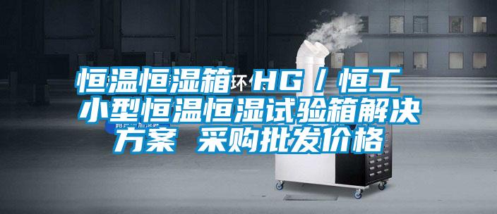 恒溫恒濕箱 HG／恒工 小型恒溫恒濕試驗箱解決方案 采購批發價格