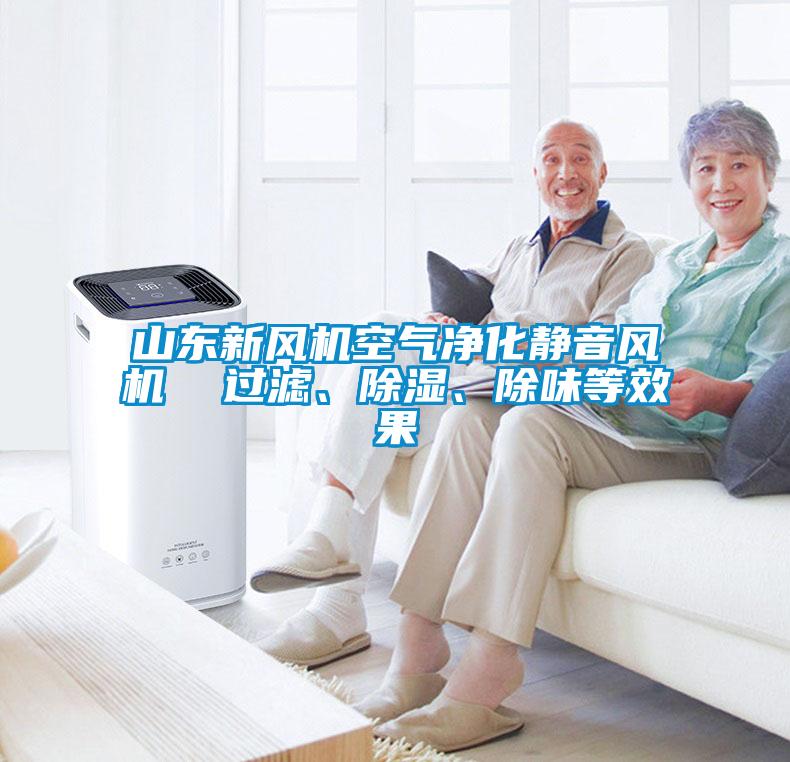 山東新風機空氣凈化靜音風機  過濾、除濕、除味等效果