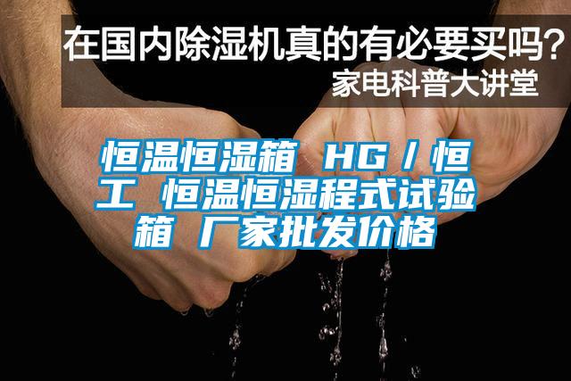 恒溫恒濕箱 HG／恒工 恒溫恒濕程式試驗箱 廠家批發價格