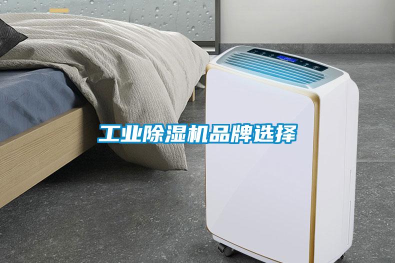 工業除濕機品牌選擇