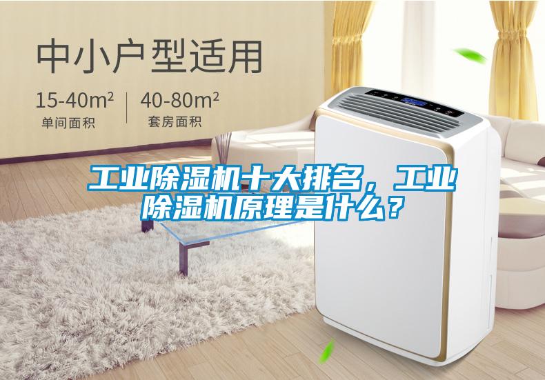 工業除濕機十大排名，工業除濕機原理是什么？