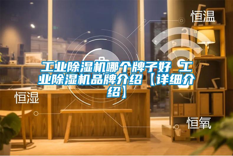 工業除濕機哪個牌子好 工業除濕機品牌介紹【詳細介紹】