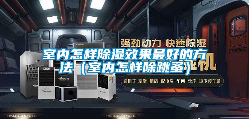 室內怎樣除濕效果最好的方法（室內怎樣除跳蚤）