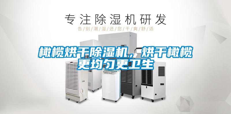 橄欖烘干除濕機,烘干橄欖更均勻更衛生