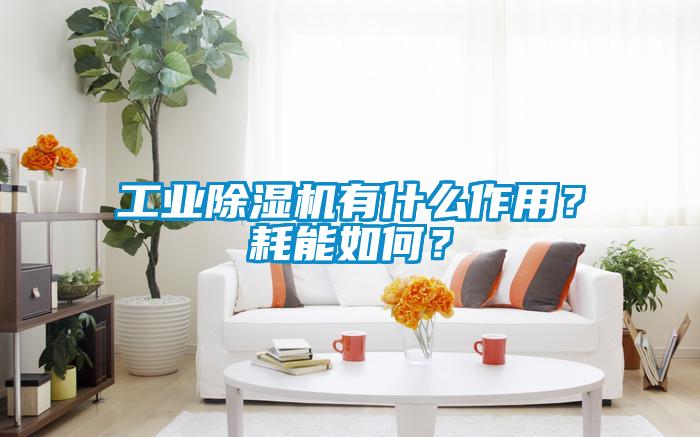 工業除濕機有什么作用？耗能如何？