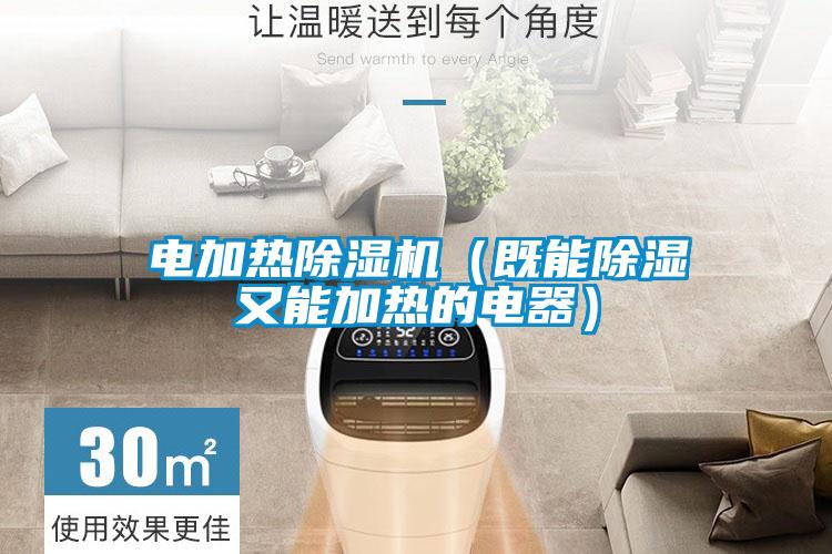 電加熱除濕機(既能除濕又能加熱的電器)