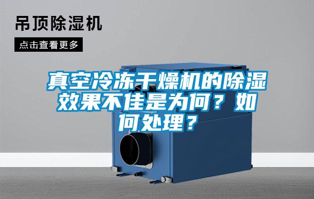 真空冷凍干燥機(jī)的除濕效果不佳是為何?如何處理?