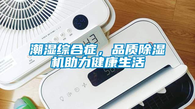 潮濕綜合癥，品質(zhì)除濕機(jī)助力健康生活