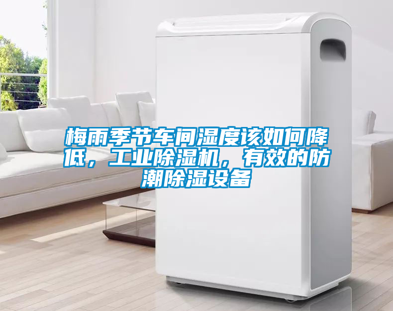 梅雨季節車間濕度該如何降低,工業除濕機,有效的防潮除濕設備