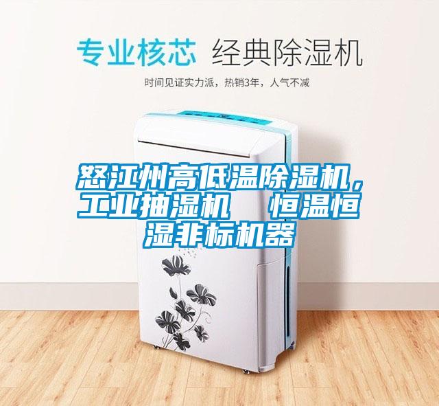 怒江州高低溫除濕機，工業抽濕機  恒溫恒濕非標機器
