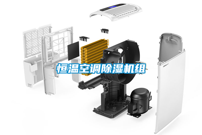 恒溫空調除濕機組
