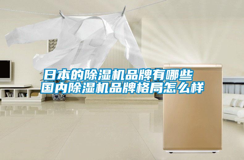 日本的除濕機品牌有哪些 國內除濕機品牌格局怎么樣