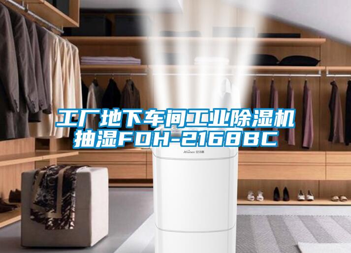 工廠地下車間工業除濕機抽濕FDH-2168BC