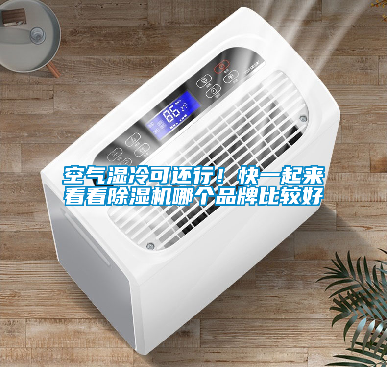 空氣濕冷可還行！快一起來看看除濕機(jī)哪個品牌比較好