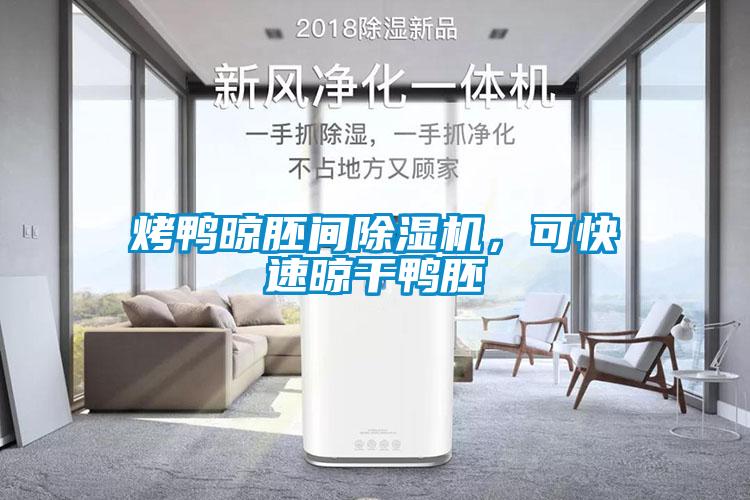 烤鴨晾胚間除濕機,可快速晾干鴨胚