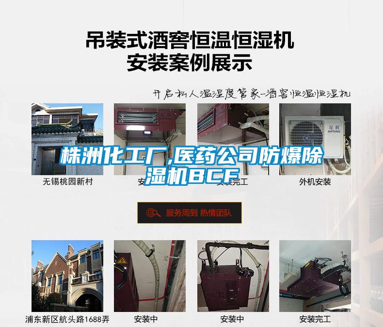 株洲化工廠,醫藥公司防爆除濕機BCF