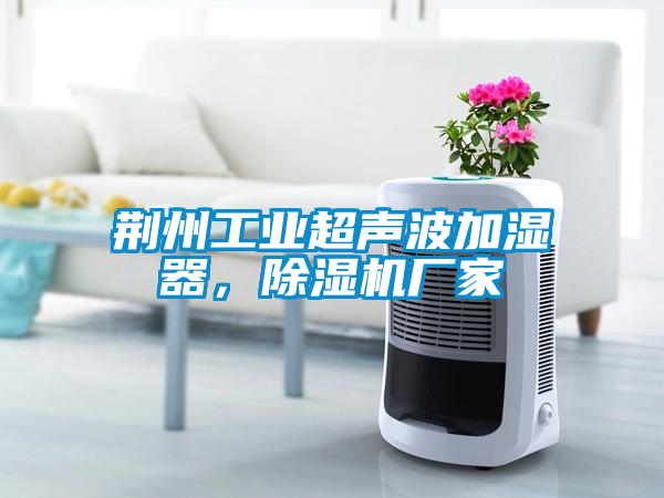 荊州工業(yè)超聲波加濕器，除濕機(jī)廠家