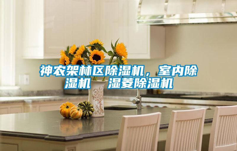 神農架林區除濕機，室內除濕機  濕菱除濕機