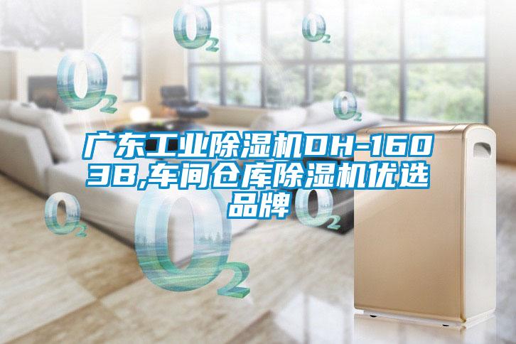 廣東工業除濕機DH-1603B,車間倉庫除濕機優選品牌