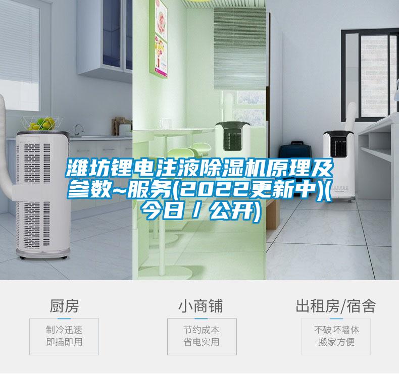 濰坊鋰電注液除濕機原理及參數~服務(2022更新中)(今日／公開)