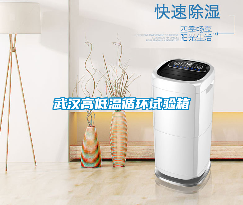 武漢高低溫循環試驗箱