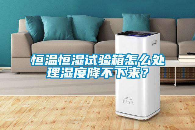 恒溫恒濕試驗(yàn)箱怎么處理濕度降不下來(lái)？