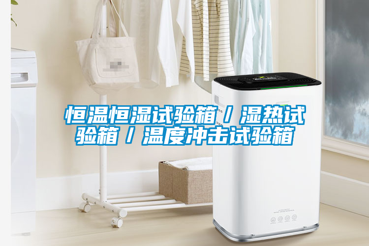 恒溫恒濕試驗箱/濕熱試驗箱/溫度沖擊試驗箱