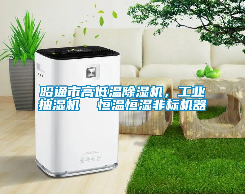 昭通市高低溫除濕機，工業抽濕機  恒溫恒濕非標機器