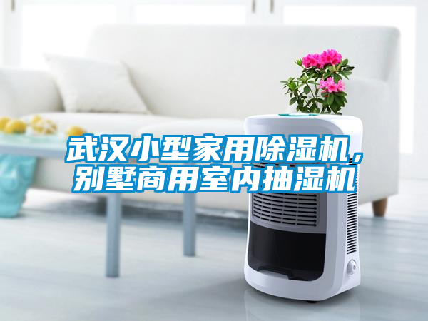 武漢小型家用除濕機，別墅商用室內抽濕機