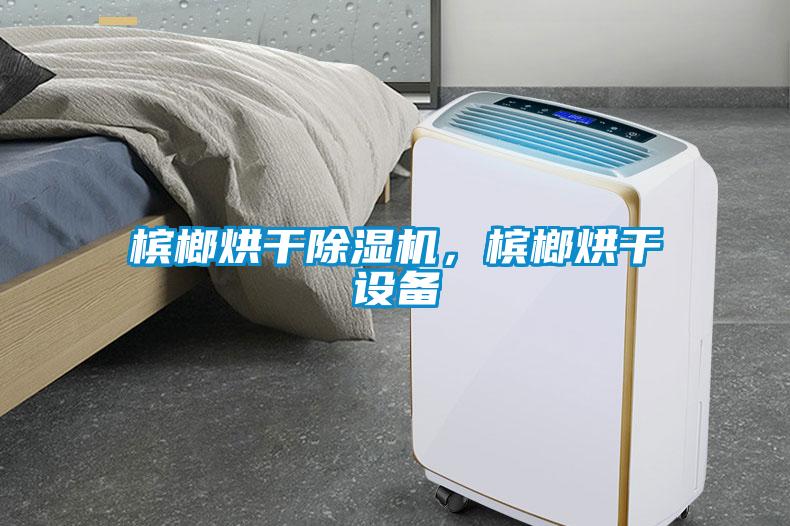 檳榔烘干除濕機，檳榔烘干設(shè)備