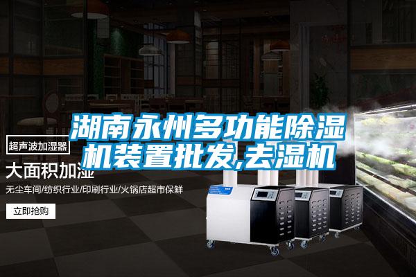 湖南永州多功能除濕機裝置批發,去濕機