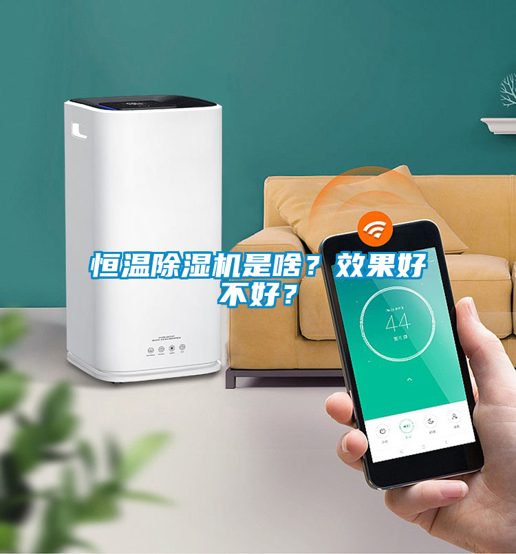 恒溫除濕機是啥？效果好不好？