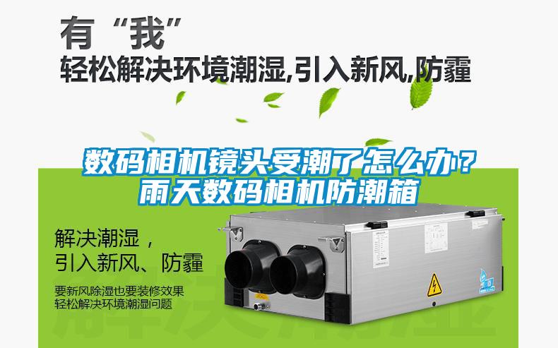 數(shù)碼相機(jī)鏡頭受潮了怎么辦？雨天數(shù)碼相機(jī)防潮箱