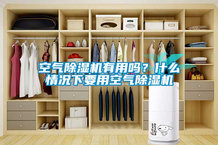 空氣除濕機有用嗎？什么情況下要用空氣除濕機