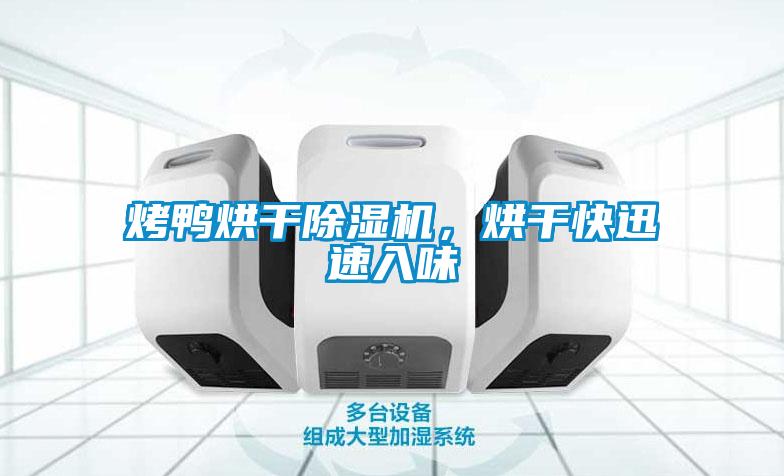 烤鴨烘干除濕機,烘干快迅速入味