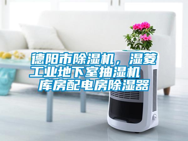 德陽市除濕機，濕菱工業地下室抽濕機  庫房配電房除濕器