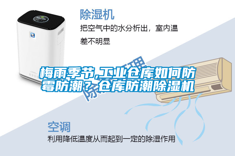 梅雨季節,工業倉庫如何防霉防潮？倉庫防潮除濕機