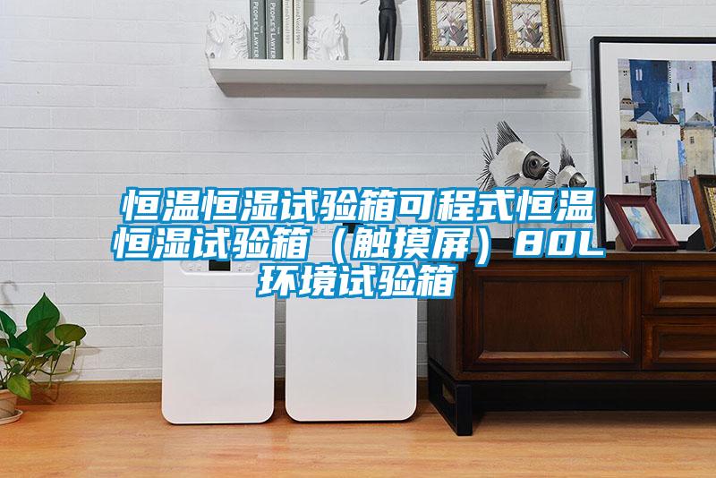 恒溫恒濕試驗箱可程式恒溫恒濕試驗箱（觸摸屏）80L環境試驗箱