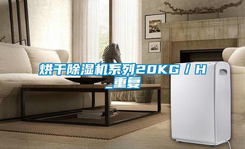 烘干除濕機系列20KG/H_重復