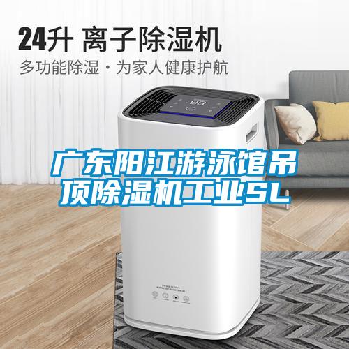 廣東陽江游泳館吊頂除濕機工業SL
