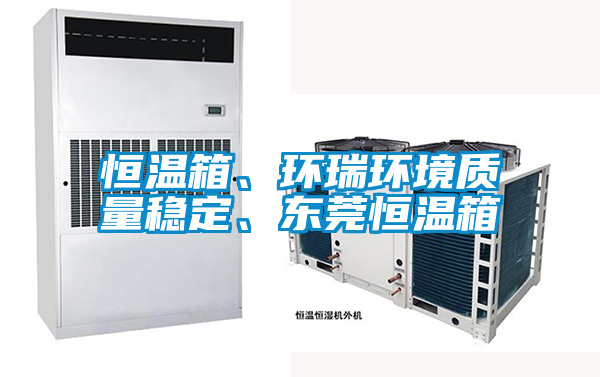 恒溫箱、環瑞環境質量穩定、東莞恒溫箱