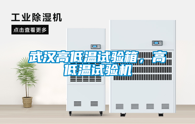武漢高低溫試驗箱,高低溫試驗機