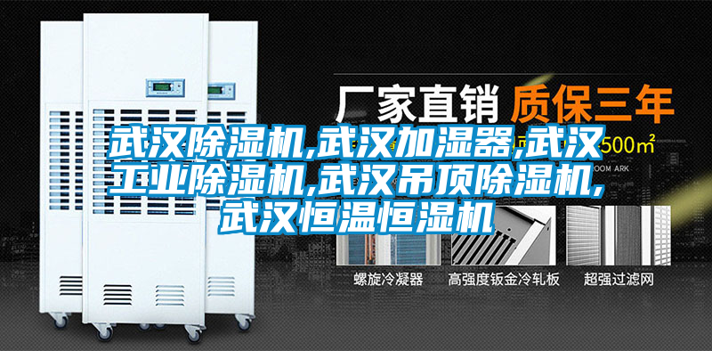 武漢除濕機,武漢加濕器,武漢工業除濕機,武漢吊頂除濕機,武漢恒溫恒濕機