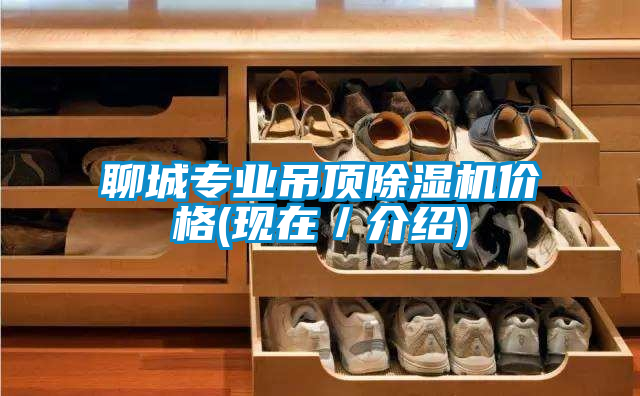 聊城專業(yè)吊頂除濕機價格(現(xiàn)在/介紹)