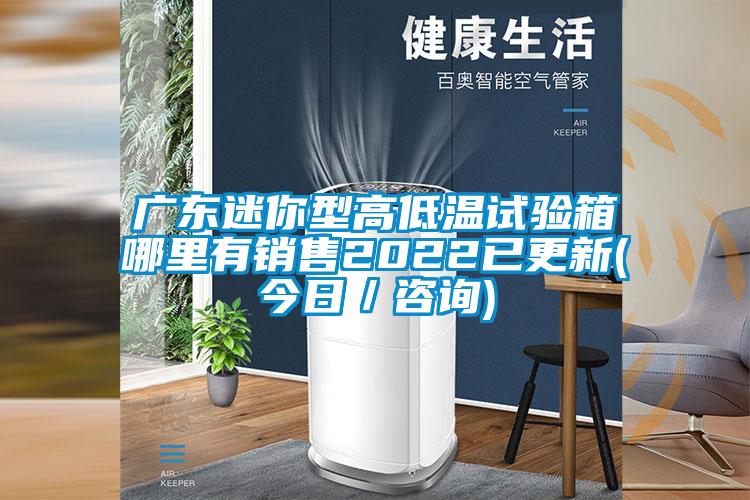 廣東迷你型高低溫試驗箱哪里有銷售2022已更新(今日/咨詢)