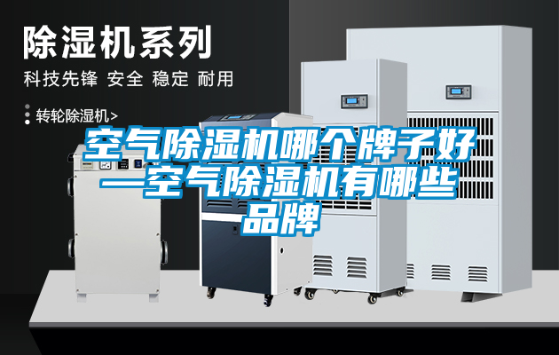 空氣除濕機(jī)哪個牌子好—空氣除濕機(jī)有哪些品牌