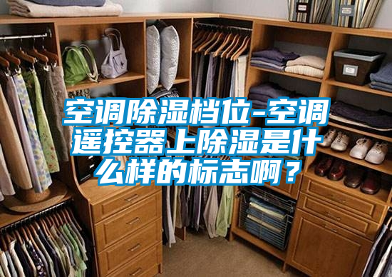 空調除濕檔位-空調遙控器上除濕是什么樣的標志啊？