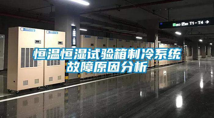 恒溫恒濕試驗箱制冷系統故障原因分析