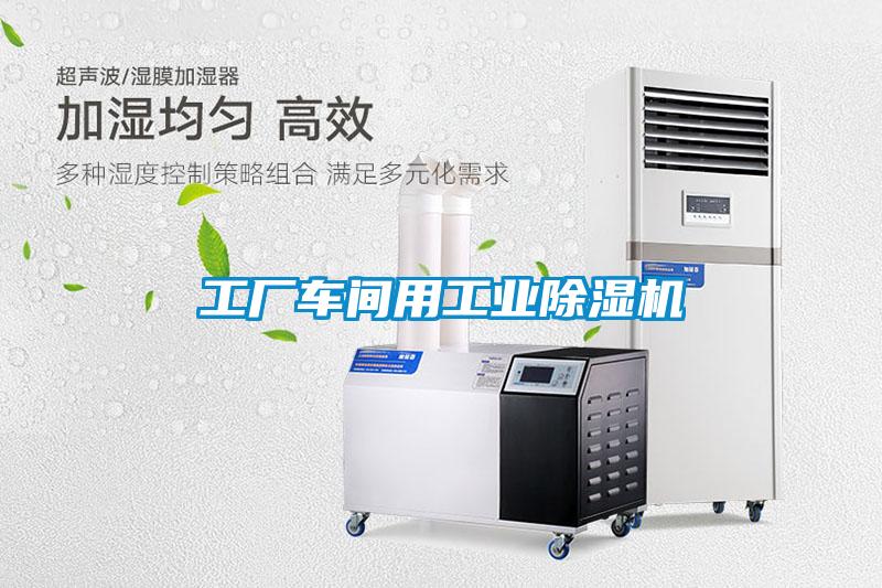 工廠車間用工業除濕機