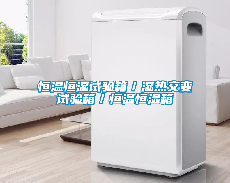 恒溫恒濕試驗箱/濕熱交變試驗箱/恒溫恒濕箱